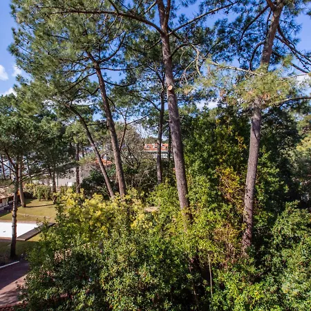Le Bourret-3 By Interhome Apartment